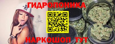 эйфоретик Ставрополь