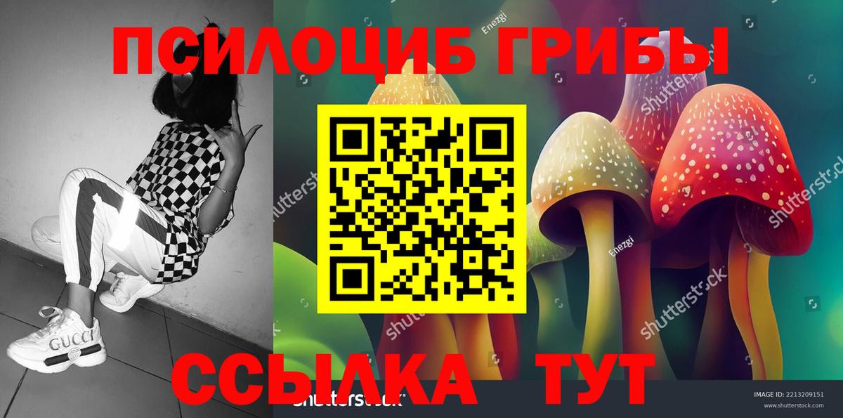 Нижний Новгород  Псилоцибиновые грибы Cubensis  Псилоцибиновые грибы MAGIC MUSHROOMS  Вход с VPN 